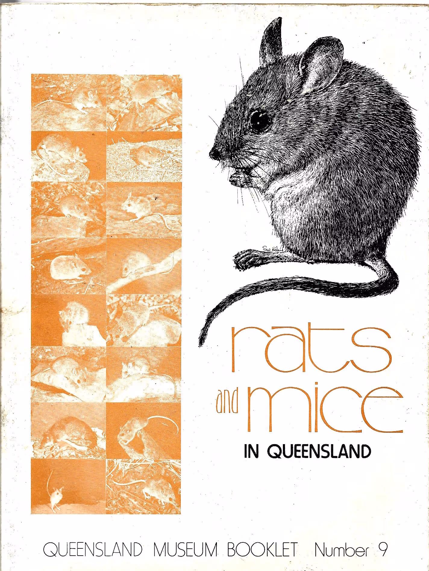 Rats and Mice in Queensland, Queensland Museum Booklet Number 9