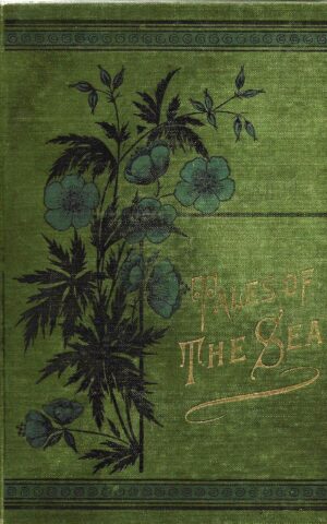 Tales of the Sea Consisting of Aboard the Sea-Mew, The Lighthouse on the Skeve Mhoil, An Ocean Waif - My Shipmates Going Ashore
