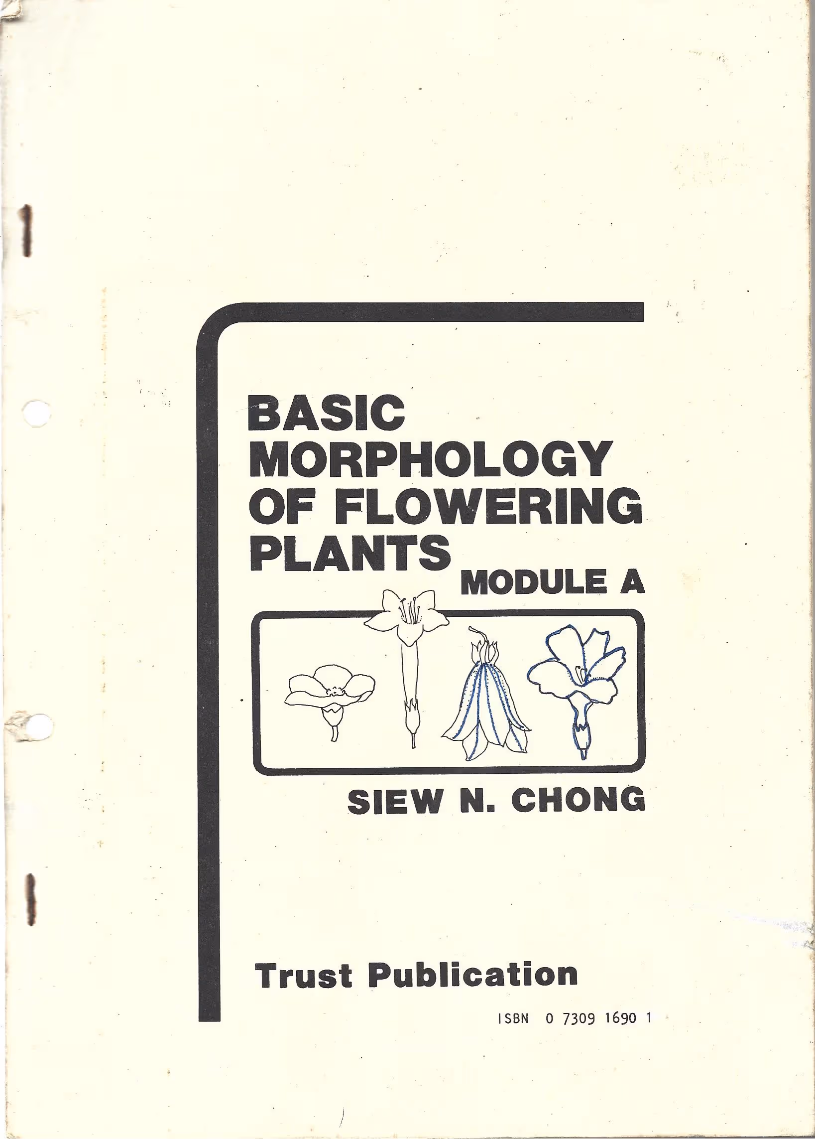 Basic Morphology of Flowering Plants, Module A