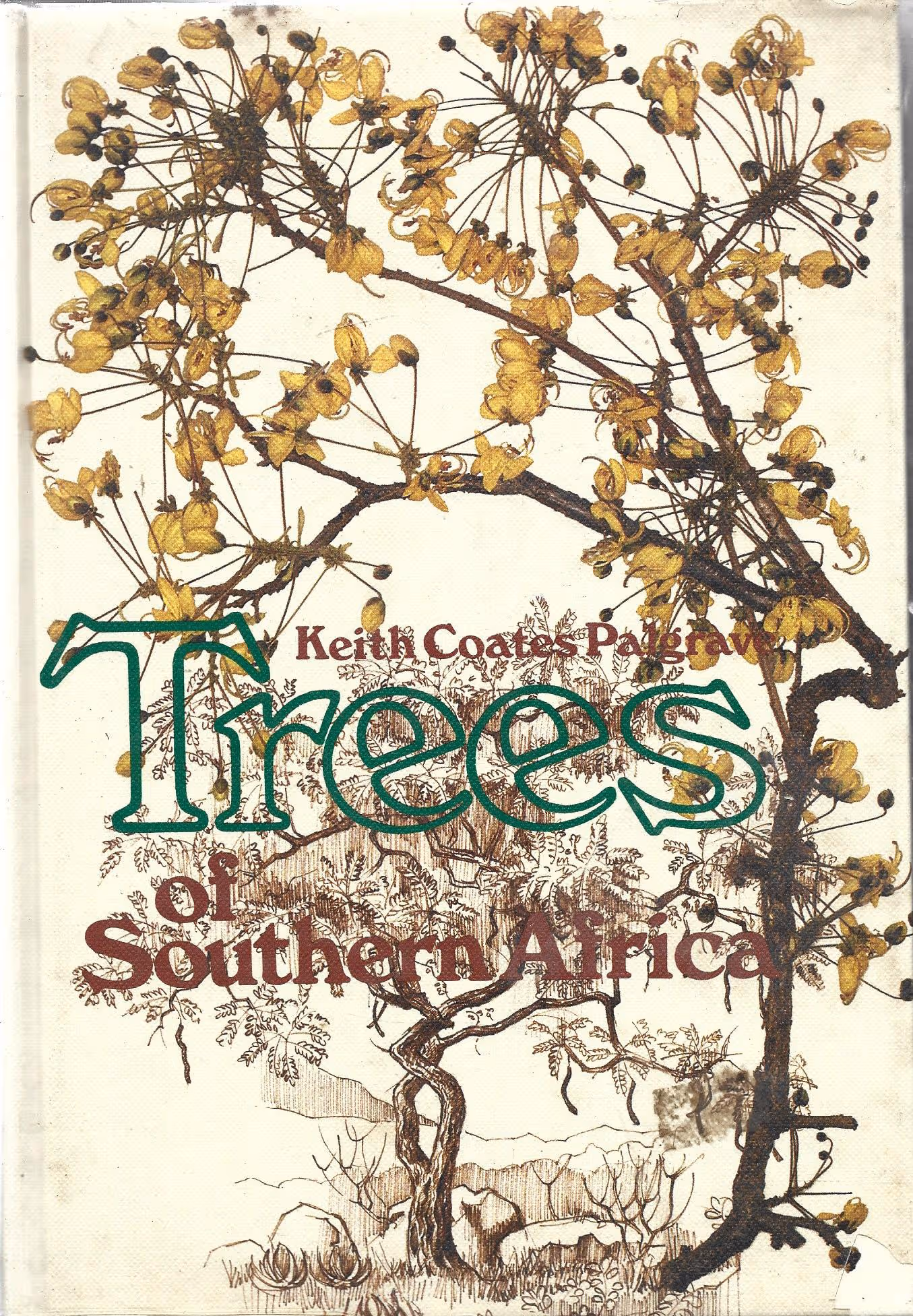 Trees of Southern Africa